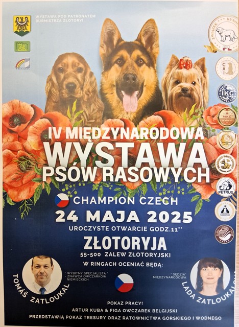 20250519 134330